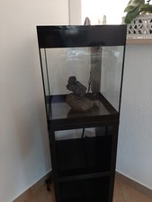 Askoll pure macquario usato  Priverno