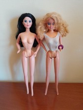 Coppia barbie dana usato  Eboli