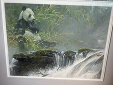 Giant panda robert for sale  Painesville