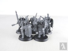 Chaos warriors regiment for sale  WESTBURY