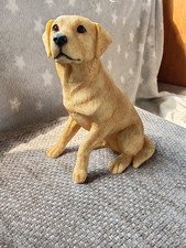 Leonardo collection golden for sale  SHEFFIELD