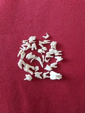 Assorted deer teeth for sale Assorted deer teeth for sale  MATLOCK