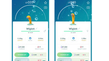 💦Shiny Wiglett (Schillernd Schligda) Pokemon GO💦 Mini PTC 80k comprar usado  Enviando para Brazil