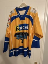 Hull stingrays ice for sale  HULL