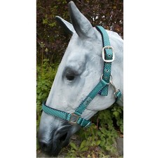 Halfter willow busse gebraucht kaufen  Schweinfurt