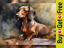 Adorável impressão de arte em aquarela Dachshund - Decoração para casa 5 "x 7" comprar usado  Enviando para Brazil