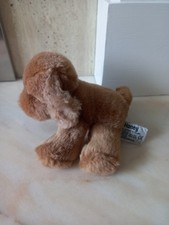 russ puppy for sale russ puppy for sale LUTON