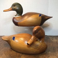 birds ducks for sale birds ducks for sale Martinsville