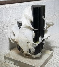 Tourmaline albite pakistan d'occasion  Boussens