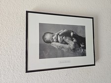 Anne geddes black for sale  Las Cruces
