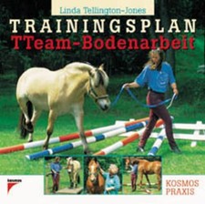 Trainingsplan tteam bodenarbei gebraucht kaufen  Waldshut-Tiengen