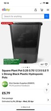 Elixir square plant for sale  TAMWORTH