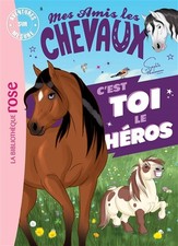 Amis chevaux aventures d'occasion  France