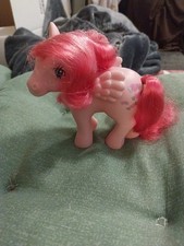 Little pony kleines gebraucht kaufen  Nordhorn