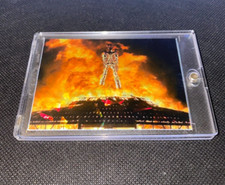 Burning man festival for sale  Dunedin