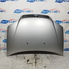 Cofano anteriore grigio usato  Acerra