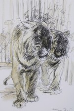 Tto dill lithographie gebraucht kaufen  Fürth