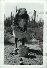 1979 Press Photo Papago colhe índio cacto em Saguaro Monumento Nacional comprar usado  Enviando para Brazil