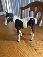 Black white elite for sale  WELSHPOOL