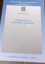 Fondamenti economia aziendale usato  Roma