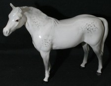 arabian horse for sale arabian horse for sale WHITCHURCH