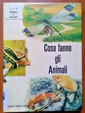 Cosa fanno gli usato  Villanova Marchesana
