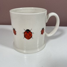 Dunelm large ladybird for sale  YORK