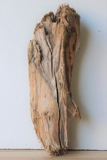 Treibholz schwemmholz driftwoo gebraucht kaufen  Halblech