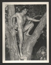 Foto vintage 1951 HANDSOME TARZAN original Bruce Studio 4x5 DBW GayStamped comprar usado  Enviando para Brazil