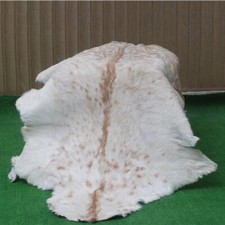 Genuine brown goat for sale  ILFORD
