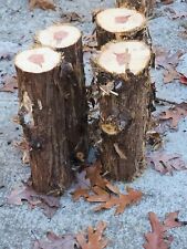 Red cedar logs for sale  Chattanooga