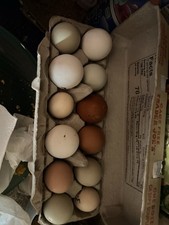 Fertile barnyard mix for sale  Belleville