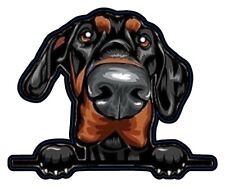 Doberman sticker for sale  Knoxville