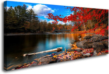wall nature art canvas for sale wall nature art canvas for sale Denver