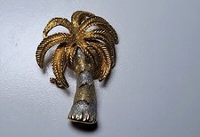 beautiful palm tree for sale beautiful palm tree for sale Elmont