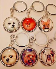 Dog puppy key for sale  Cincinnati