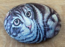 Pebble shaped cat for sale  OLDHAM