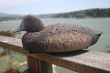 Bluebill hen decoy for sale  Lincoln City