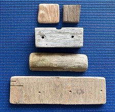 Driftwood dorset jurassic for sale  BOURNEMOUTH