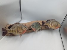 Vintage real skin for sale  Wausau
