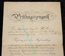Prüfung den hufbeschlag gebraucht kaufen  Berlin