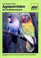 Agaporniden unzertrennlichen r gebraucht kaufen  Berlin