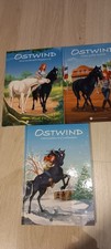 Stwind erstleser weihnachten gebraucht kaufen  Celle