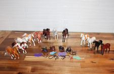Grand champions horses for sale  Indian Hills