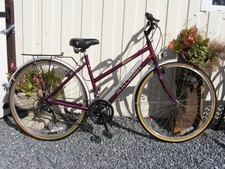 Fantastic ladies raleigh for sale  BROUGH