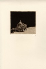 Bruno missieri murex usato Bruno missieri murex usato  Acqui Terme