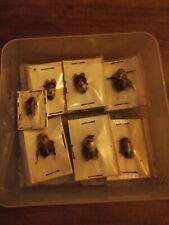 Taxidermy insects box for sale  LONDON