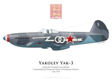 Print yakolev yak d'occasion  Ribécourt-Dreslincourt