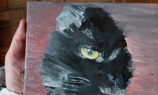 Dipinto gatto olio usato  Garlasco