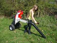 Trafalgar paddock cleaner for sale  HORSHAM